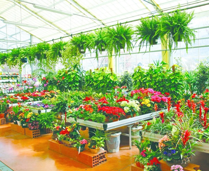 ചിത്രം:Vol4p588 plantnursery.jpg