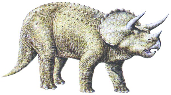 ചിത്രം:Vol4p658 Triceratops .jpg