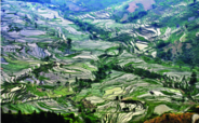 ചിത്രം:Yuanyang-2-edit-rs.png