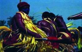 ചിത്രം:Gabon2.png