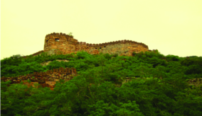 ചിത്രം:Udayagiri fort.png