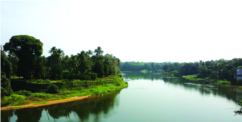 ചിത്രം:Muvattupuzha River-16.png
