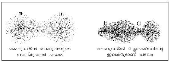 ചിത്രം:P255b.png