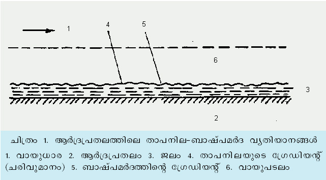 ചിത്രം:Vol5 285 image2.jpg