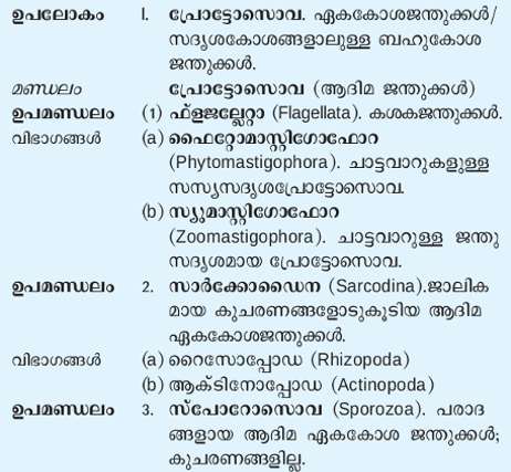 ചിത്രം:Janthu1.png