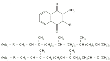 ചിത്രം:Vitamin K scr1.png