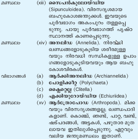 ചിത്രം:Jathu7.png