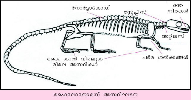 ചിത്രം:Vol4 723 1.jpg