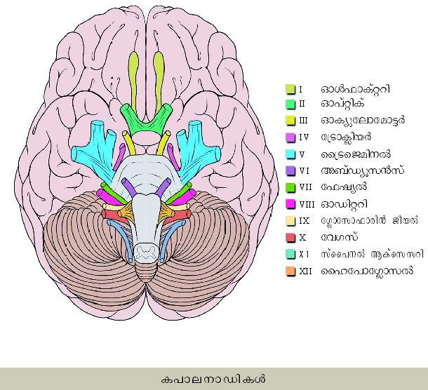 ചിത്രം:Vol6 295 1.jpg