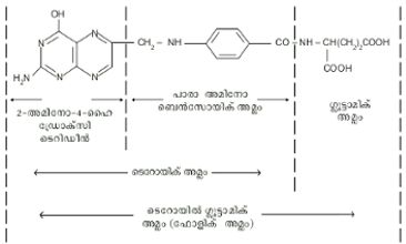 ചിത്രം:Folic sr1.png