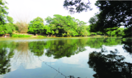 ചിത്രം:Kabani river-19.png