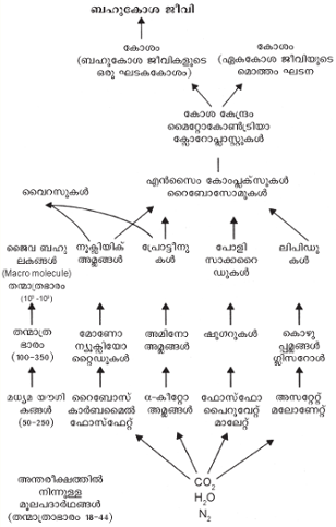 ചിത്രം:SR835 .png