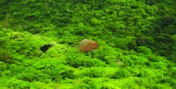 ചിത്രം:Ezhimala beach-08.png