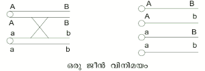 ചിത്രം:Pg737sr321.png