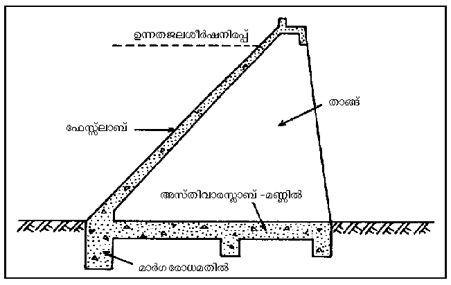 ചിത്രം:P307c.png