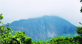 ചിത്രം:AgasthyarkoodamPeak01.png