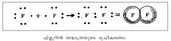 ചിത്രം:P254a.png