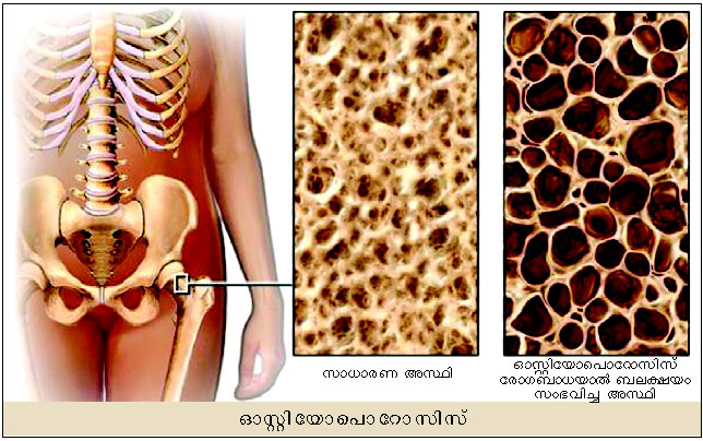 ചിത്രം:Vol5 879 image.jpg