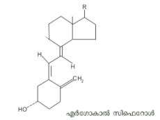 ചിത്രം:Vitamin D sr2.png