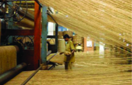 ചിത്രം:Coir.png