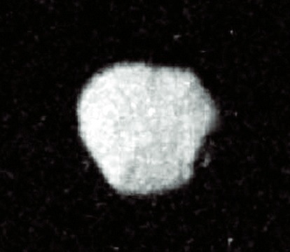 ചിത്രം:Vol4p588 proteus.jpg