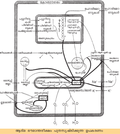 ചിത്രം:SR 836 im -2.png