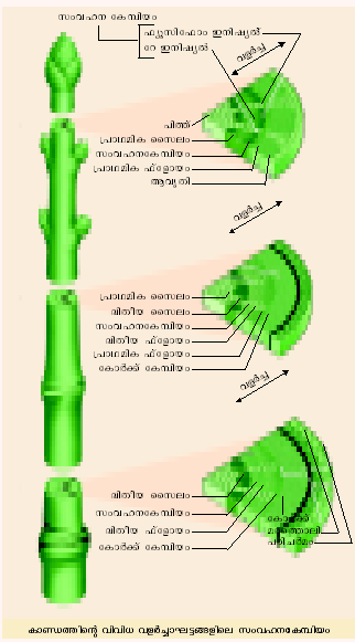 ചിത്രം:Kebiyam 154.png
