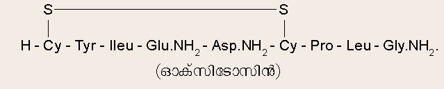 ചിത്രം:Vol5 742 Formula2.jpg