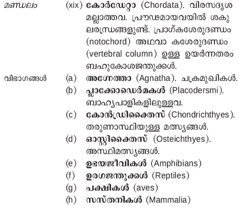 ചിത്രം:Jathu10.png