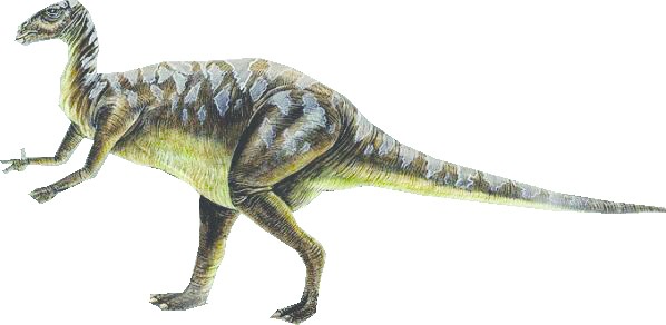 ചിത്രം:Vol4p658 Iguanodon.jpg