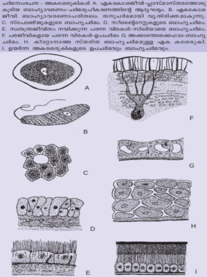 ചിത്രം:Vol 10 scre690-1.png