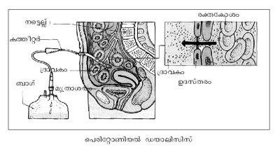 ചിത്രം:599a1.png