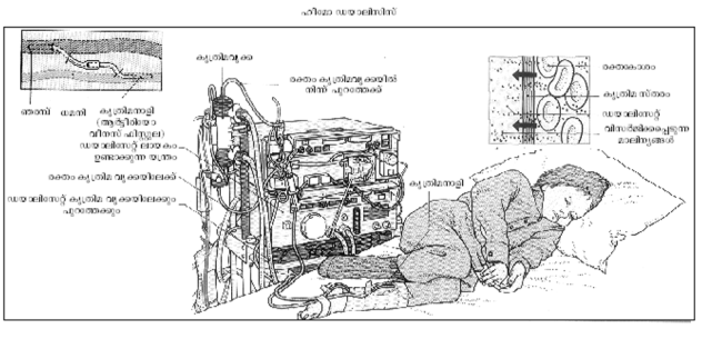 ചിത്രം:599a3.png
