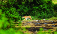 ചിത്രം:Periyar001.png