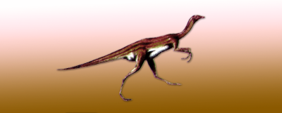 ചിത്രം:3 Ornithomimus(new).png