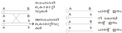 ചിത്രം:Pg740sre.png