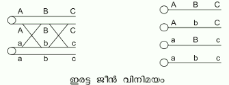 ചിത്രം:Pg740sr123.png