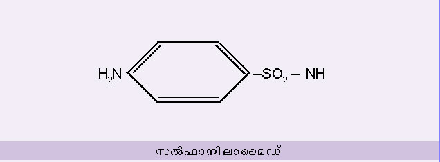 ചിത്രം:Vol5 907 Formula 1.jpg