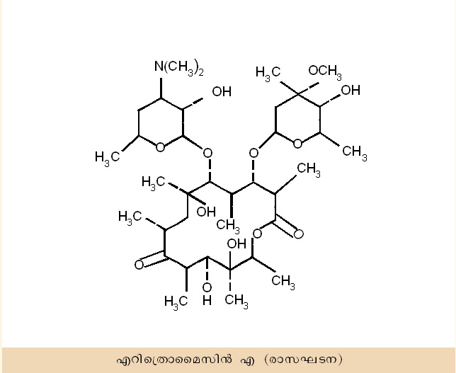 ചിത്രം:Vol5 329 image.jpg
