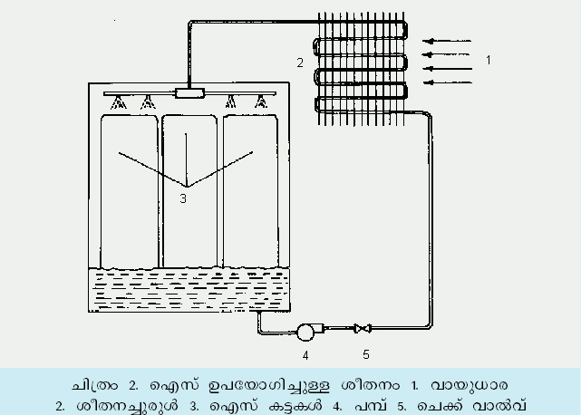 ചിത്രം:Vol5 286 image1.jpg