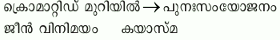 ചിത്രം:Pg737 sn 12.png