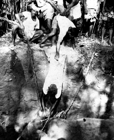 ചിത്രം:Elephant- Hunting-5.png