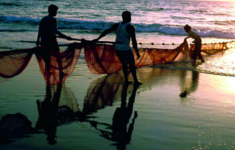 ചിത്രം:Hauling-in-fish-net-Goa.png