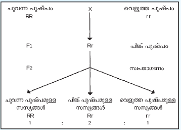 ചിത്രം:Janthu SR23.png