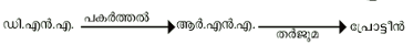 ചിത്രം:Jeen scre722.png