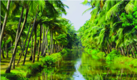 ചിത്രം:Canoli Canal23.png