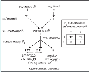 ചിത്രം:Pg420.png