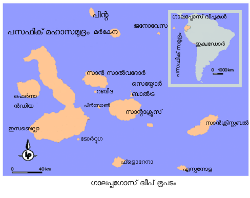 ചിത്രം:Galapos.png