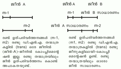 ചിത്രം:Pg737sre02.png