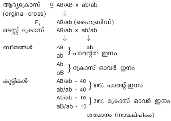 ചിത്രം:Pg737srce.png